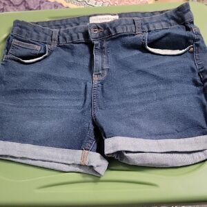 Sag Harbor Women's Blue Denim Shorts